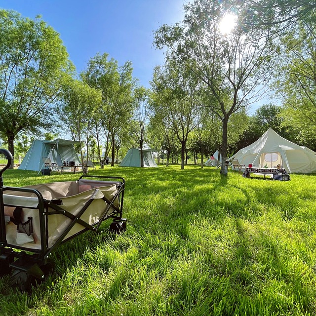 Camping Kracking