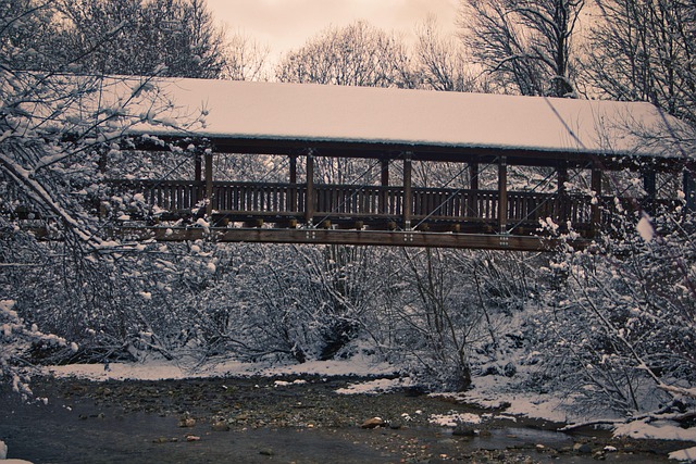 Naturcamping und Restaurant Juritz