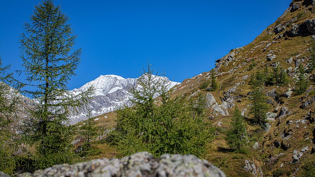 Camping Bergkristall