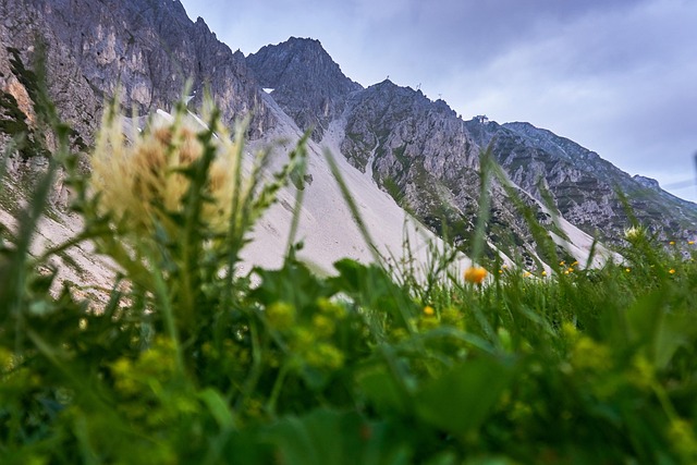 Alpencamping Mark
