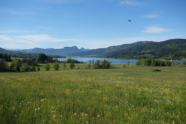 Camping Maier Zell am Moos