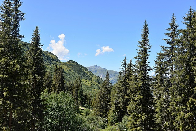 Naturpark Camping Campingplatz Kaunertal
