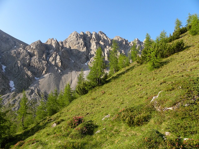 Dolomiten Camping Amlacherhof