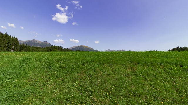 Waldcamping Tamsweg