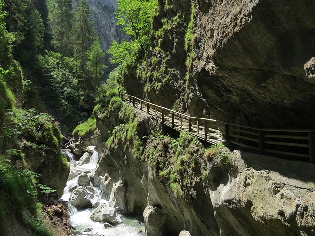 Camping am Bergbauernhof Oberhasenberghof