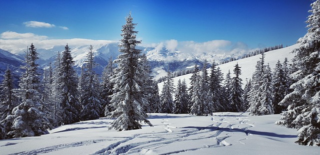 Panoramacamping Westendorf
