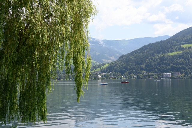 Seecamp Zell am See